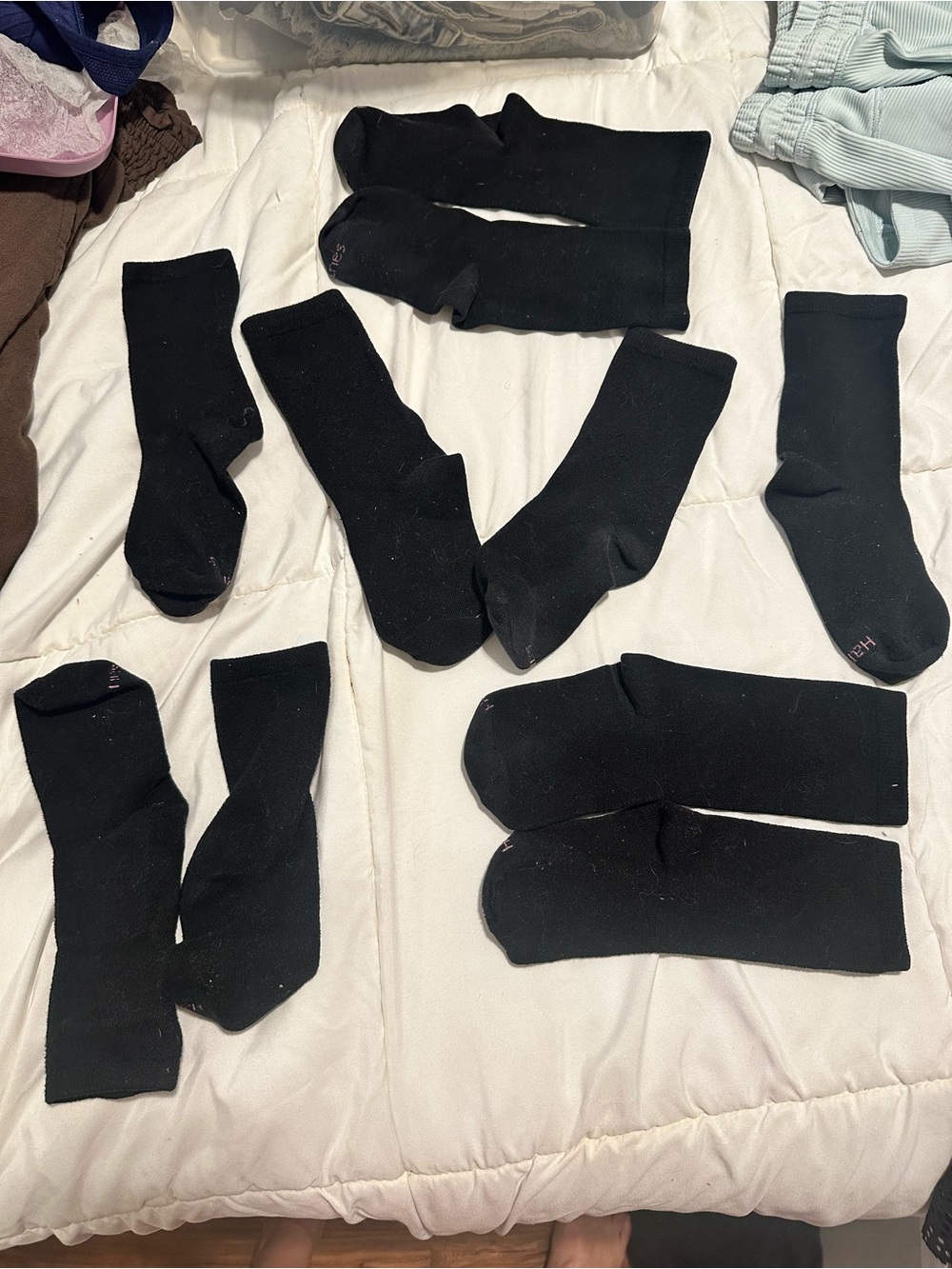 Hanes Women's Black Casual Crew Socks - Pack